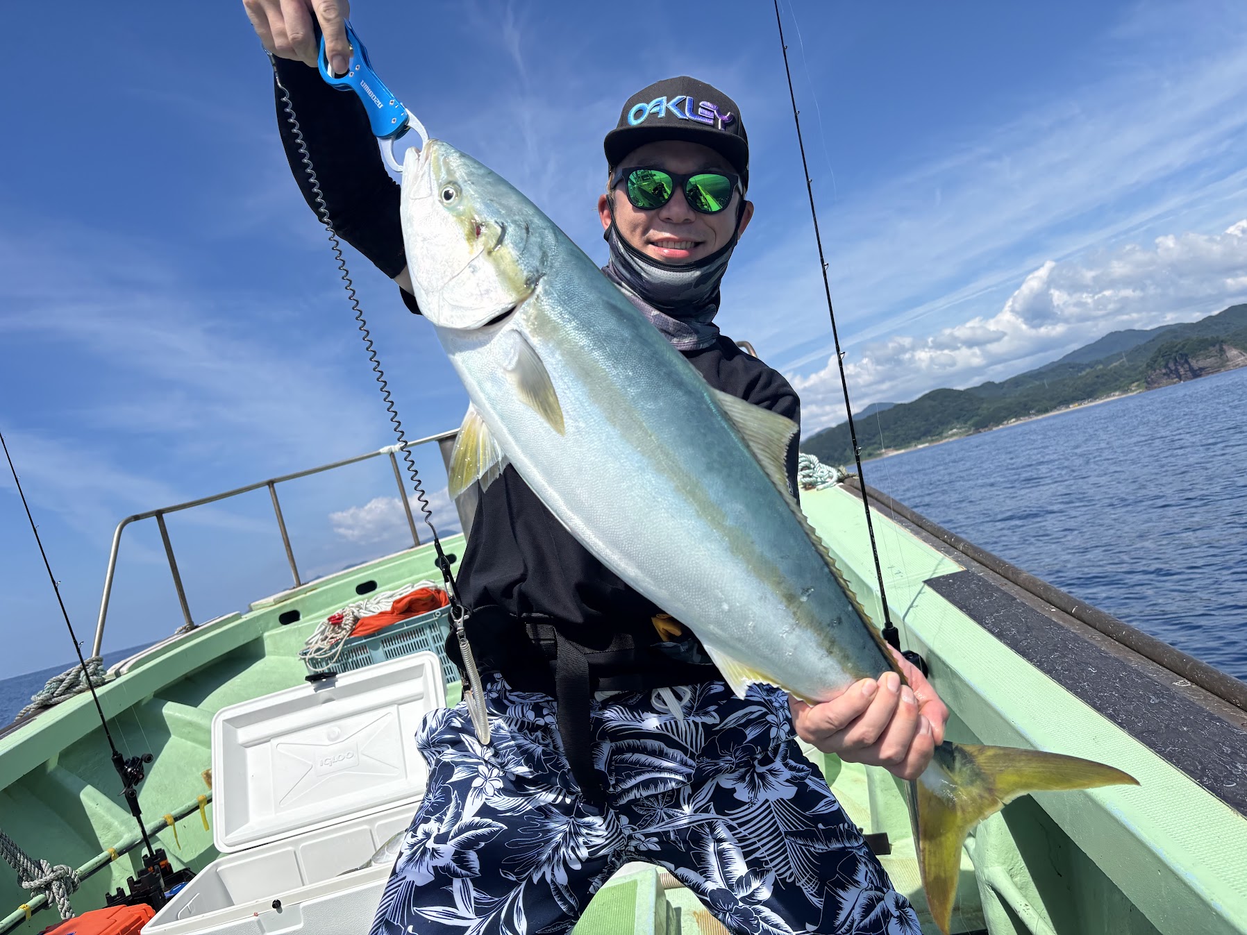夏のブリが釣れた