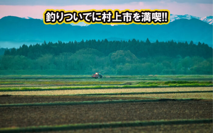 釣りついでに観光にグルメで村上市を満喫