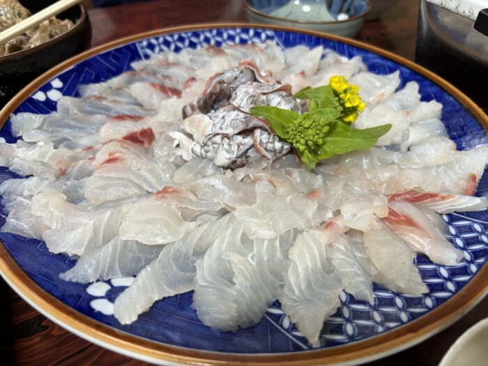 村上市観光で食べる日本海の新鮮な魚介の刺身