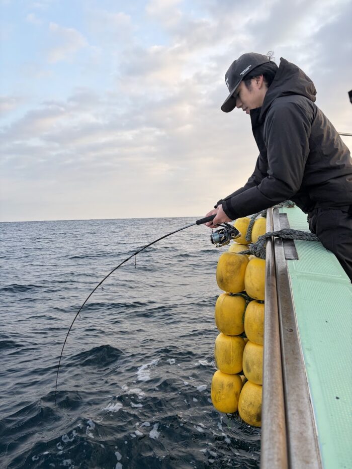 寒ブリファイト