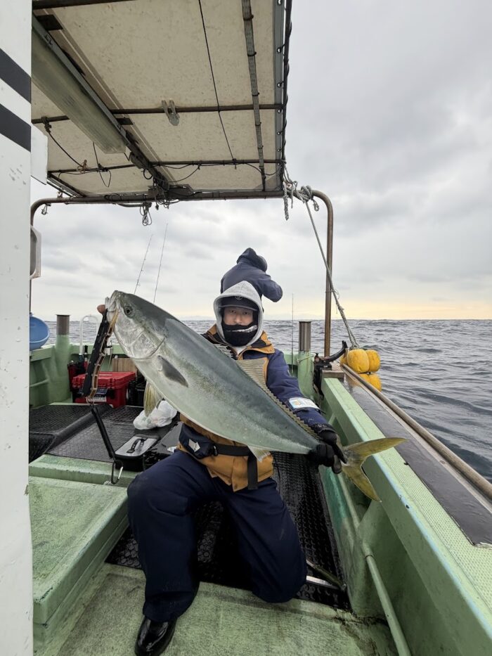 寒ブリ入れ食い