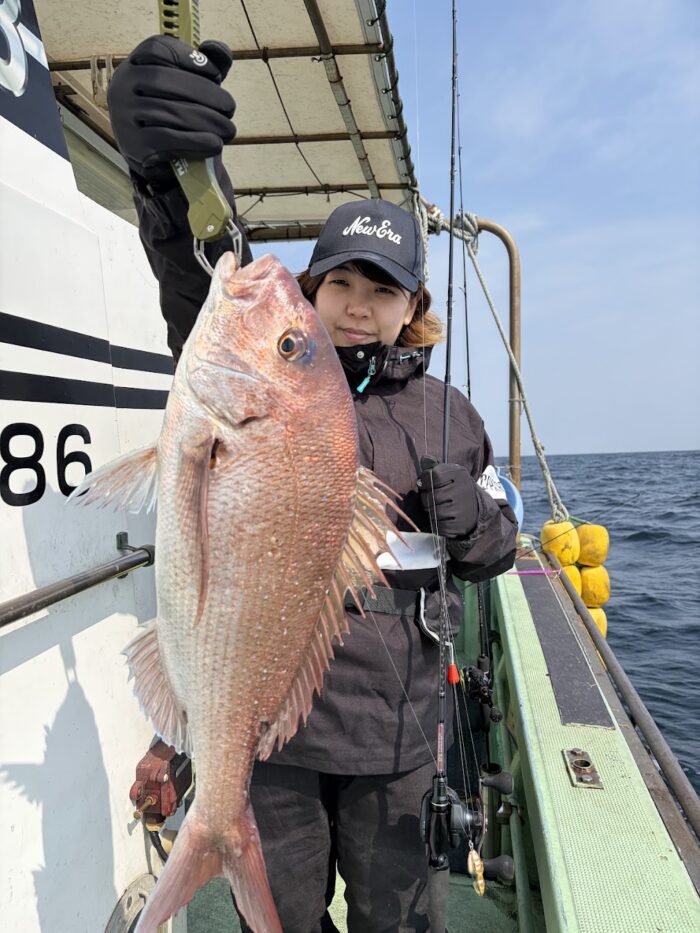良型の春真鯛を釣る女性の釣り好きアングラー