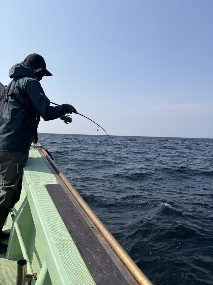 春マダイジギング