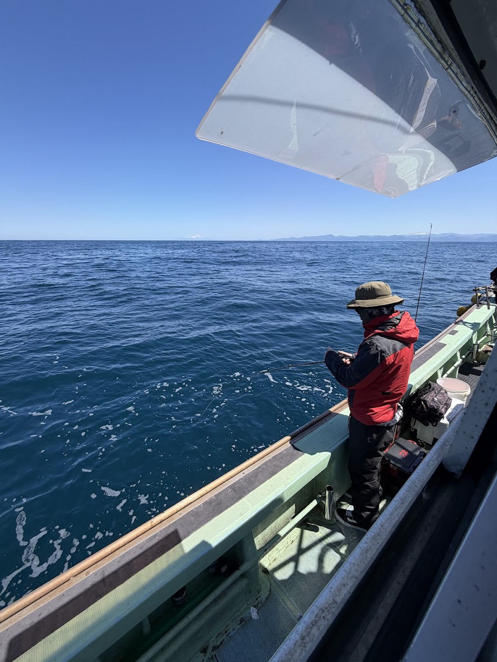 カサゴが釣れている最中