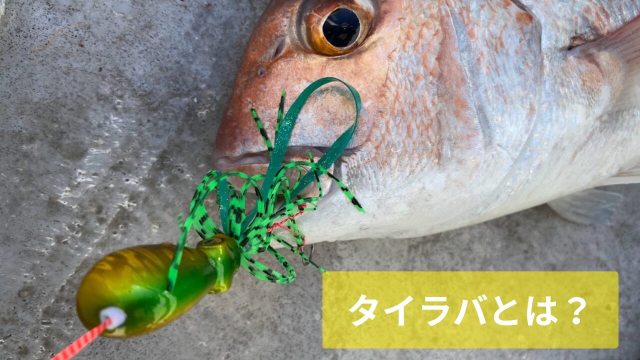 タイラバとは何か解説