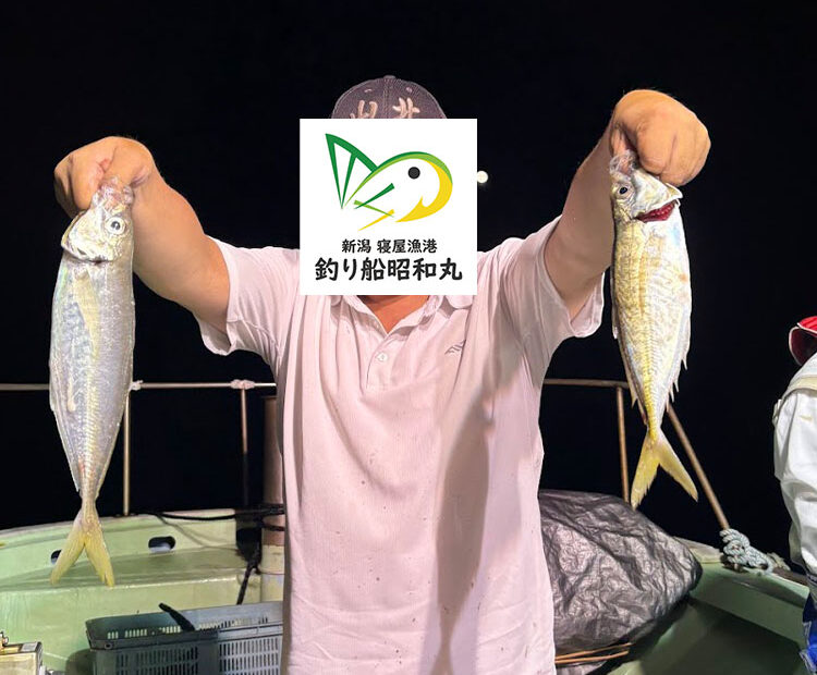 夜炊きバチコン