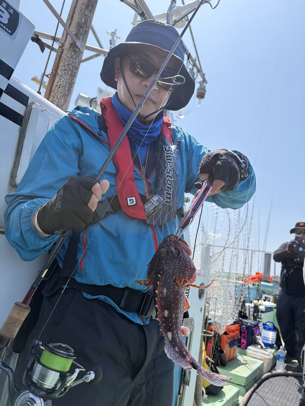 粟島で釣れるカサゴ