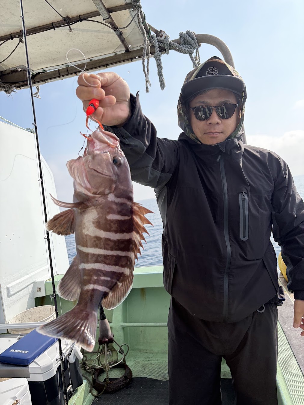 粟島のマハタ