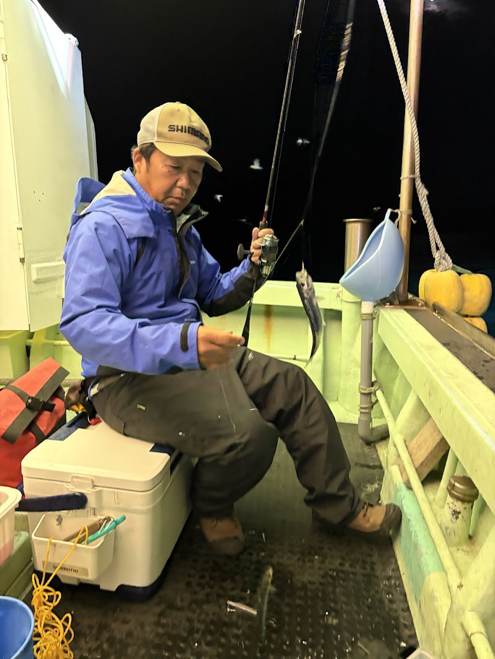 サビキでマイワシ釣り