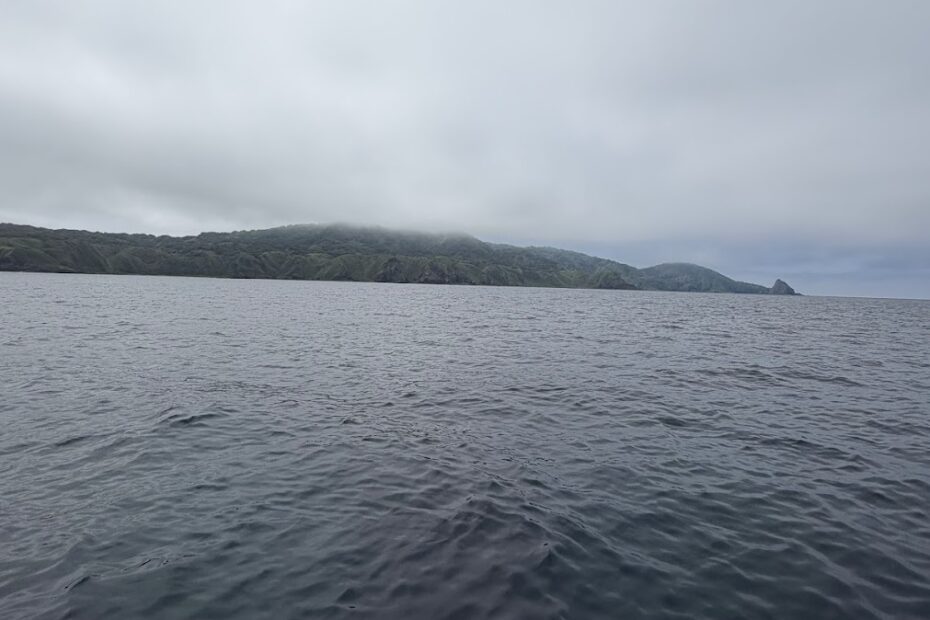 粟島で釣りを楽しむ体験