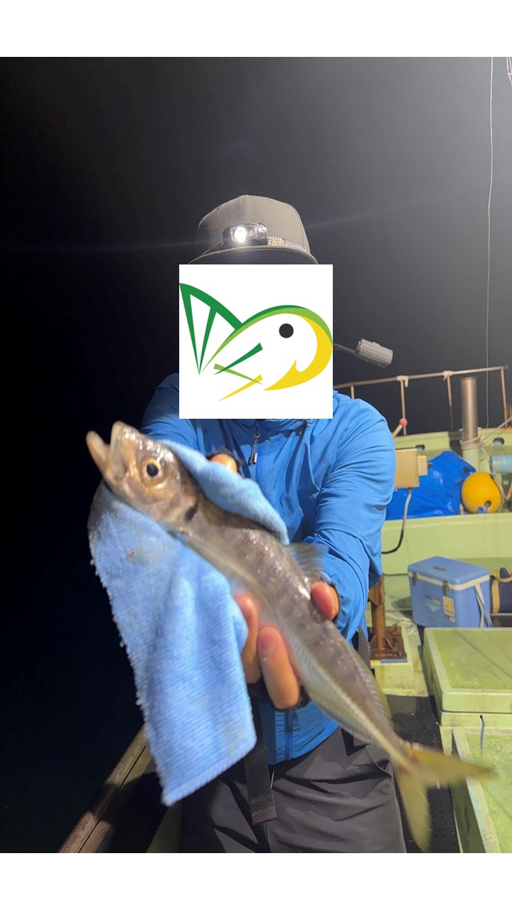 アジがバチコンで釣れた