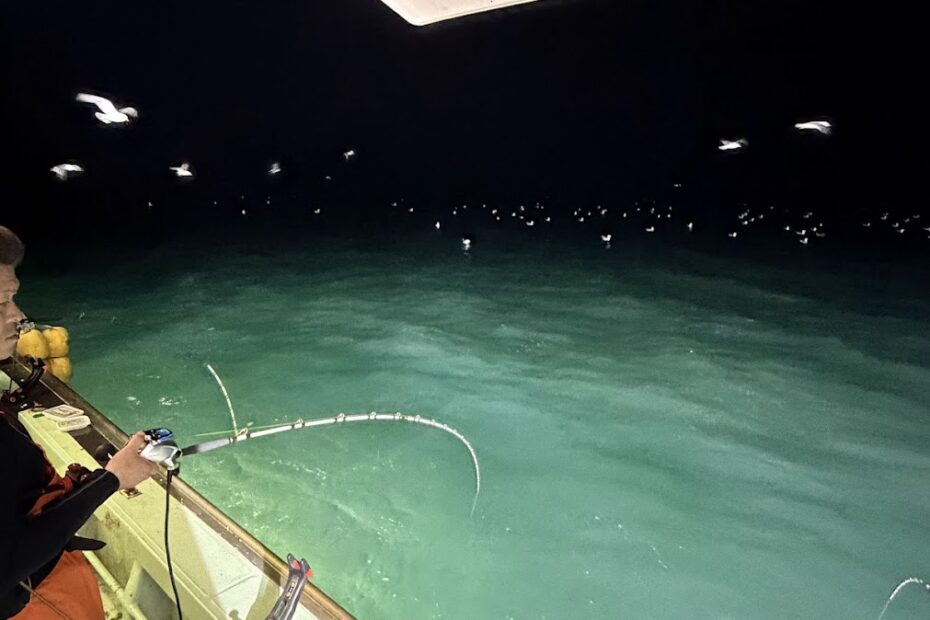 サビキでアジが沢山釣れる