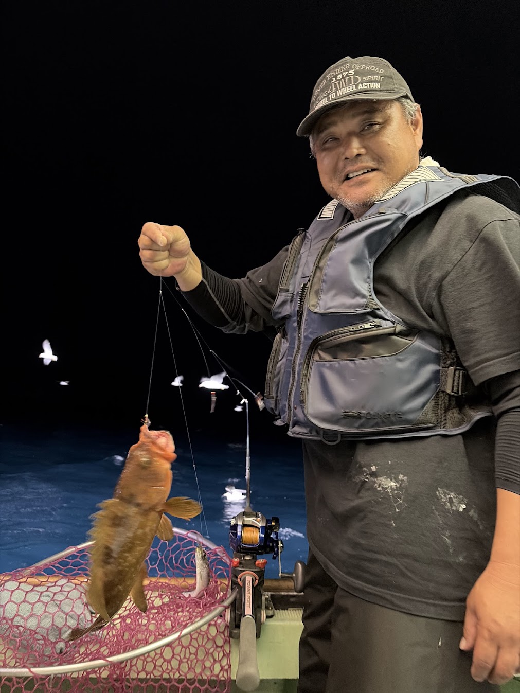 夜炊きで釣れたアコウことキジハタ